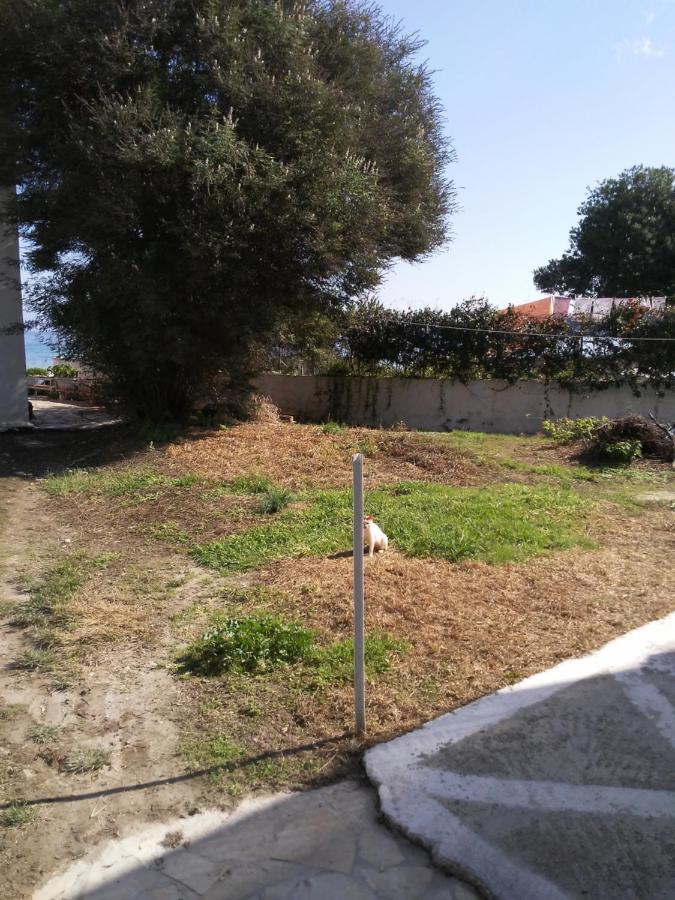 Dimitris Apartments Messongi Mesongi Bagian luar foto